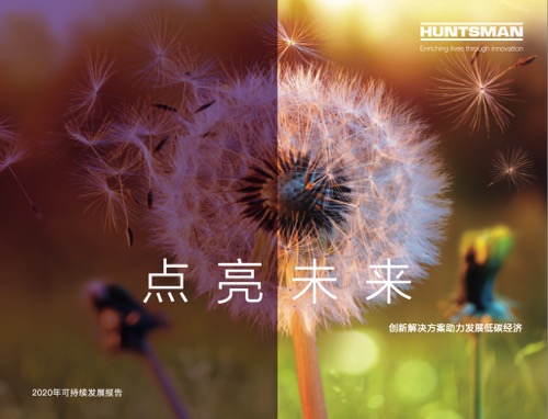 2020年报告
